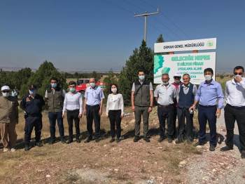 Çavdarhisar’Da 15 Temmuz Şehitleri Anısına Fidan Dikildi
