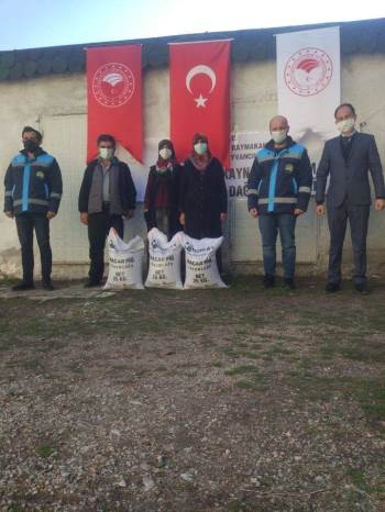 Çavdarhisar’Da 4 Bin Kilogram ’’Macar Fiği Tohumu’’ Dağıtıldı
