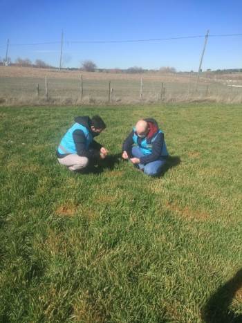 Çavdarhisar’Da Arpa Ve Buğday Ekili Alanlar Kontrol Edildi

