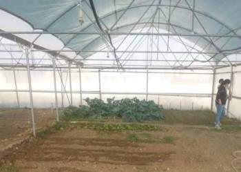 Çavdarhisar Tarım Meslek Lisesi’Nde ’’Fide Yetiştiriciliği’’ Kursu
