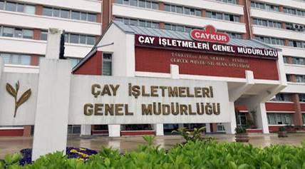 Çay İşletmeleri Genel Müdürlüğü 500 Personel Alacak