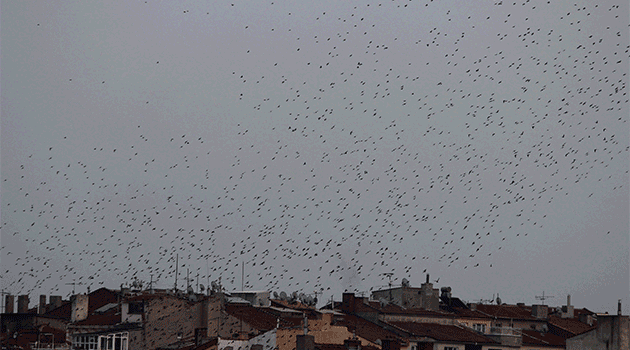 Cem Yılmaz'ın yeni oyuncağı 3 tekerlekli