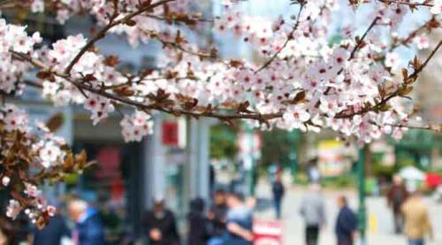 Cemre nedir? Cemre ne zaman düşer? İlk cemre nereye düşer?