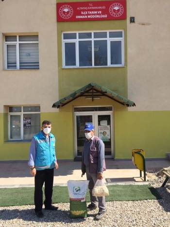 Çerezlik Kabak Çekirdeği Tohumu Dağıtıldı
