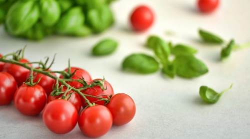 Çeri Domates İsrail’e mi Ait? Merak Edilen Gerçekler