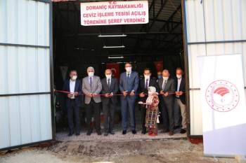Ceviz İşleme Tesisi Hizmete Sunuldu
