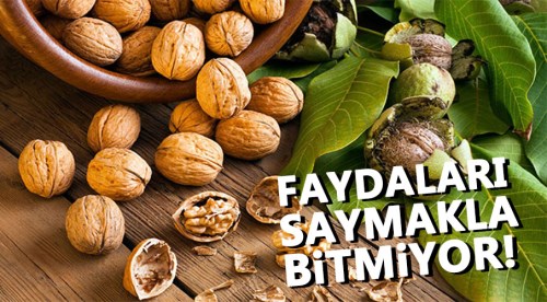 Cevizin faydaları saymakla bitmiyor