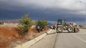 Çevre Yolunda Ağaçlandırma Çalışması
