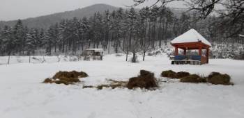 Çevreci Gençlerden Yaban Hayatına Yem Desteği
