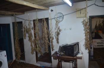 Cezaevindeki Hükümlünün Evinde Kurutulmaya Bırakılmış Uyuşturucu Bulundu
