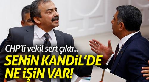 CHP'li vekil: Kandil'de ne işin var