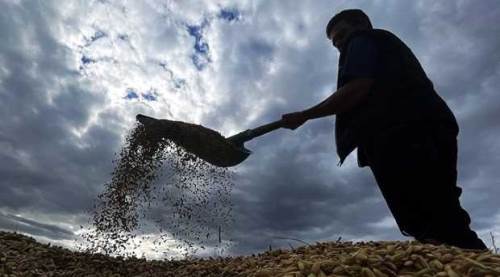 Çiftçi batar, AK müteahhit köşeyi döner