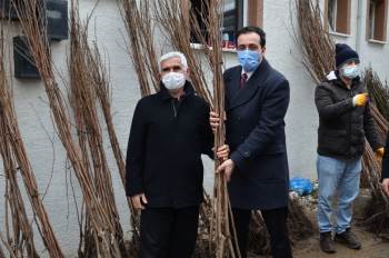 Çiftçilere 3 Bin 350 Adet Cennet Hurması Ve İncir Fidanı Ücretsiz Dağıtıldı
