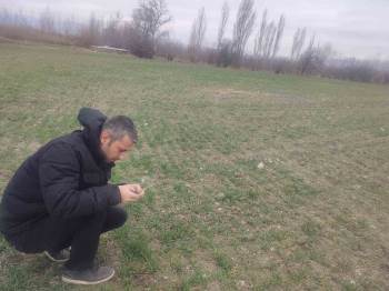 Çiftçilere Yönelik Bilgilendirme Ve Bitki Kontrolleri Yapıldı
