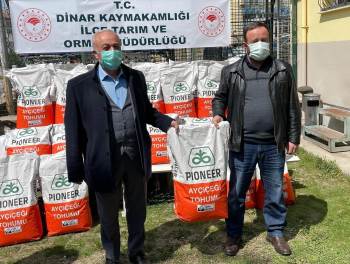 Çiftçilere Yüzde 75 Hibe İle Ayçiçeği Tohumu Dağıtıldı
