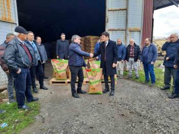 Çiftçilere Yüzde Elli Hibe Destekli 26 Ton Buğday Tohumu Dağıtıldı
