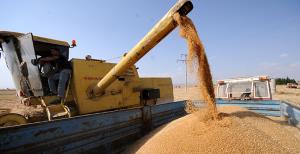 Çiftçiye 150 Milyon Lira