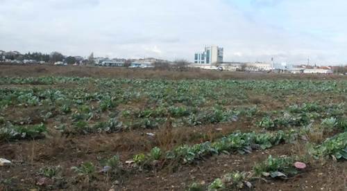 Çiftçiye haciz şoku! Yardım bekliyorlar...