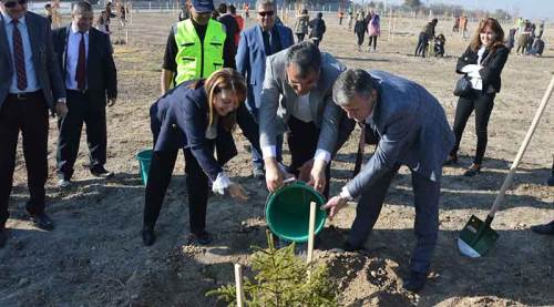 Çifteler'de 800 fidan toprakla buluştu