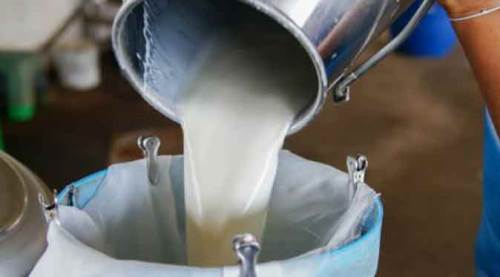 Çiğ süte zam geldi!