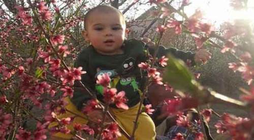 Çiğköfte yoğurma makinesine düşen çocuk öldü