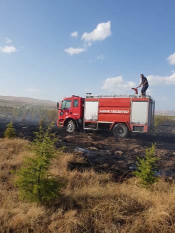 Çıkan Yangında Çam Ağaçları Zarar Gördü
