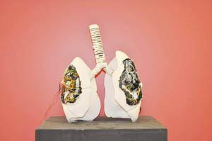 Çıkma organlar seramiğe dönüştü