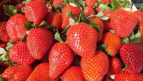 Çileğin cilt sağlığı üzerindeki mucizevi etkileri