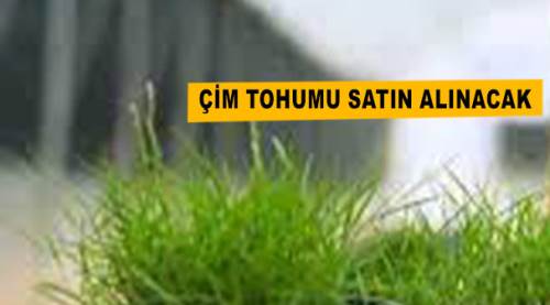 Çim tohumu satın alınacak