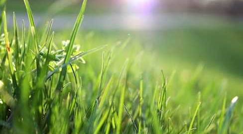 Çimleri sulamaya para mı yok?