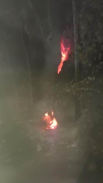 Çınar Ağacı Alev Alev Yandı
