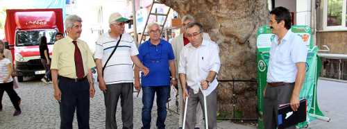 ÇINAR DALI İLE DİKKATİ ÇEKTİ