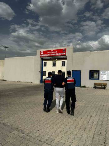 Cinsel İstismar Suçundan 5 Yıl 10 Ay Hapis Cezasıyla Aranan Şahsı Jandarma Yakaladı
