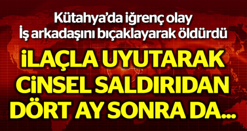 Cinsel saldırıda bulunan arkadaşını öldürdü