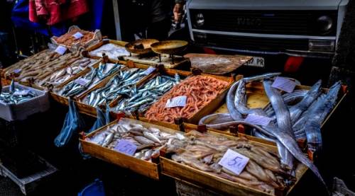 Civa Oranı En Yüksek Balık Hangisidir? Sağlığınız İçin Bilmeniz Gerekenler