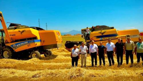 Çobanlar’da kamu arazisinde buğday hasadı yapıldı