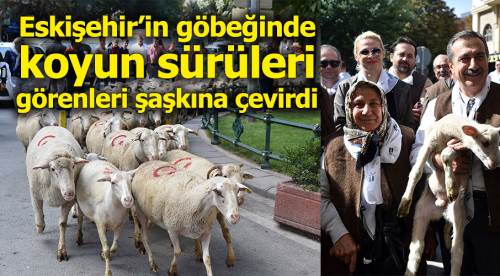 Çobanlar koyun sürüsüyle caddelerden geçti
