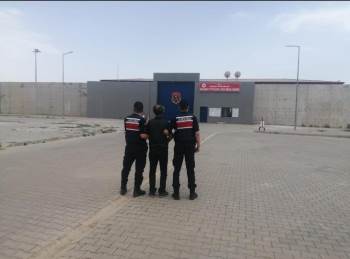 Çocuğun Cinsel İstismarı Suçundan Aranan Şahsı Jandarma Yakaladı
