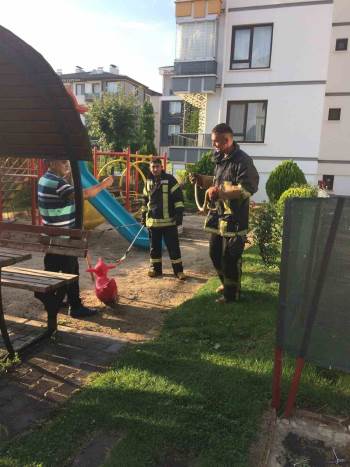 Çocuk Oyun Alanında Yılan Paniği
