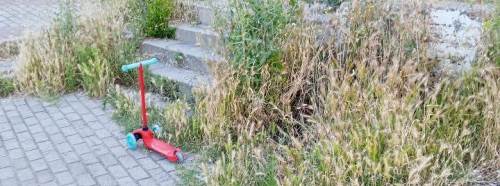Çocuk parkı otlara teslim oldu: Mahalleli bakım bekliyor