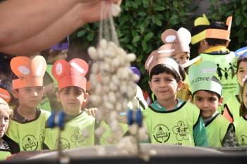 Çocuklar İlk Kez İpek Böceği Ve Koza İle Tanıştı
