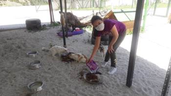 Çocuklar İzin Saatlerini Can Dostlarıyla Geçirdi
