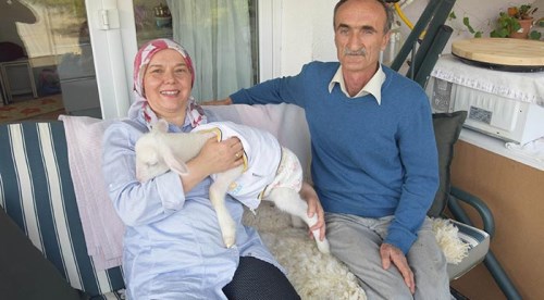 Çocukları gibi oldu