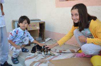 Çocukların Sevgilisi ’Fındık’ Tedavi Edildi
