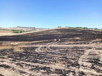 Çöpten Çıkan Yangın 300 Dönümlük Ekili Araziyi Küle Çevirdi