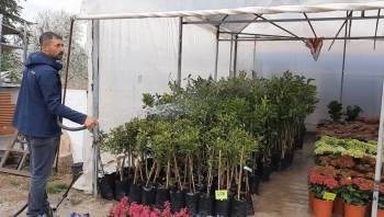 Covid-19 Salgını Çiçeklere Olan İlgiyi Artırdı
