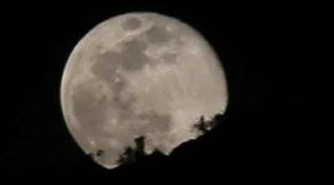 Cumartesi gününe dikkat! Dolunay Akrep Burcu'nda