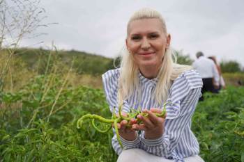 Dağıttı Fidelerde Olan Domates Ve Biberlerin İlk Hasadı Da O Yaptı
