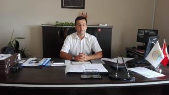 Damızlık Koç Ve Kıl Keçisi Teke Dağıtımı Yapılacak
