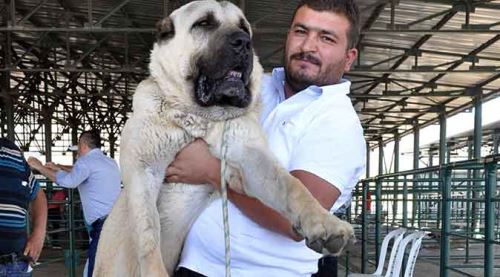 Değerini duyunca şaşkına döneceksiniz!